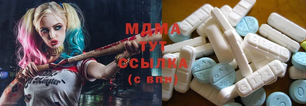 СК Елизово