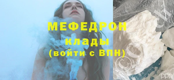 индика Заводоуковск