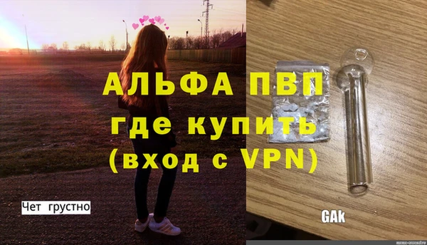 СК Елизово