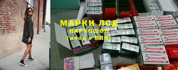 СК Елизово