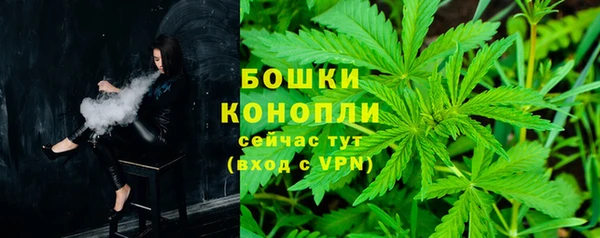 индика Заводоуковск